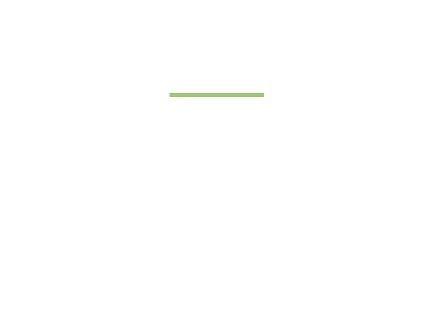 03 MOSQUITO MAGNET モスキートマグネット